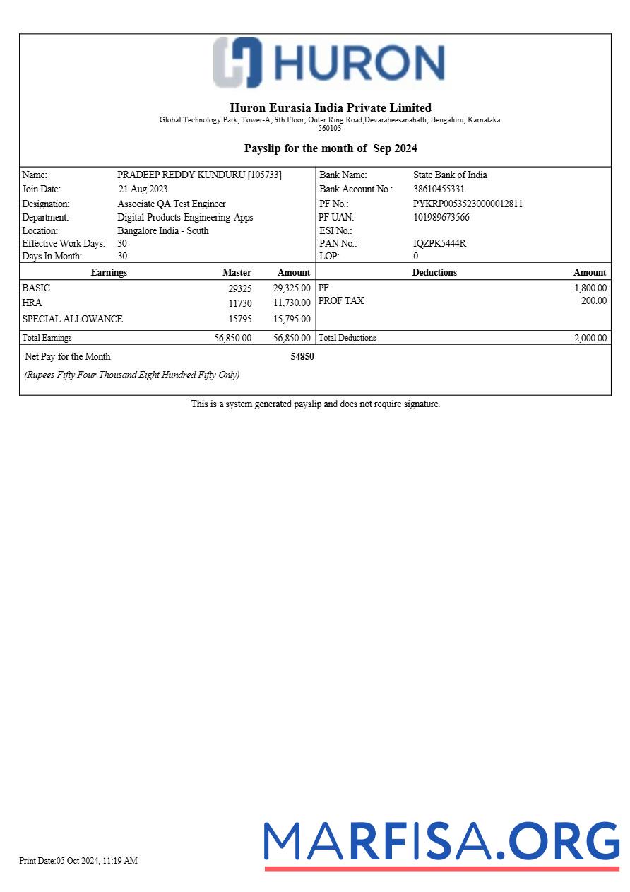 Printable Huron Eurasia India payslip sample